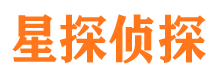 广灵侦探公司